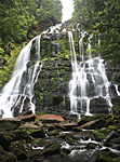 Waterfall in the rainforest, Tasmania